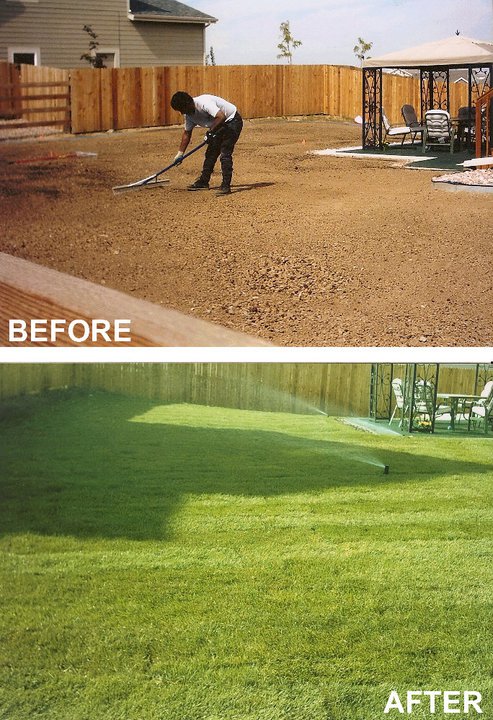 Our Work Project 27 by BAM Sprinklers